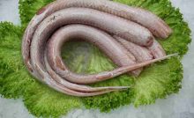Recette de roussette
