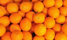 Orange Corse